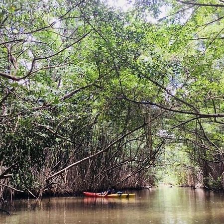 Tukusi Bungalow Le Moule Luaran gambar