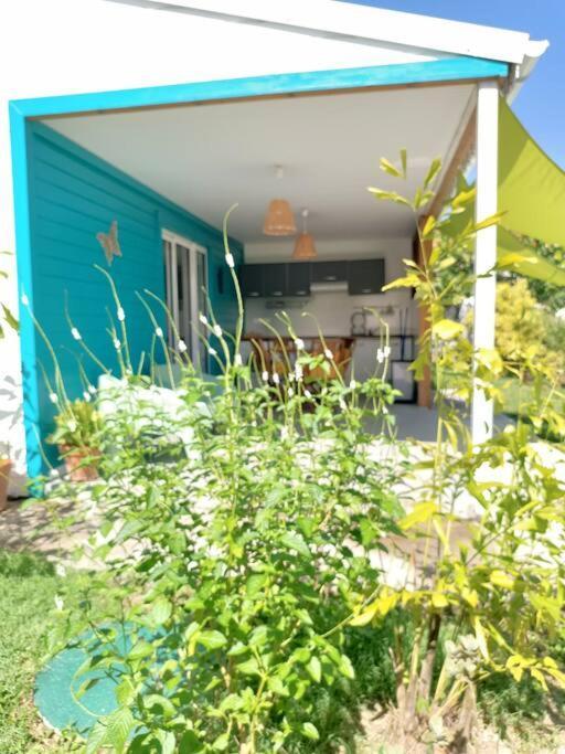 Tukusi Bungalow Le Moule Luaran gambar